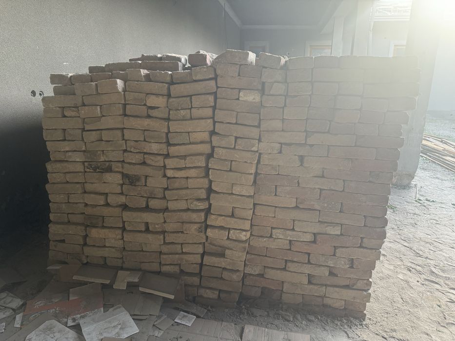 Гишт Николай в хорошом состояния Отборное