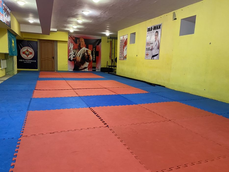 Альянс каратэ КиокушинРю города Астана