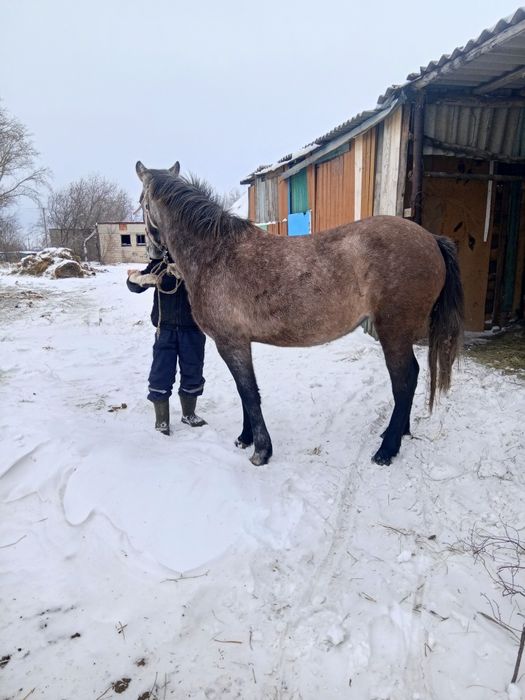 Продам продам продам