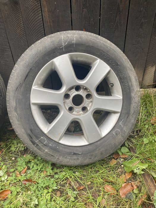 Jenti pentru w pasat  pe 16