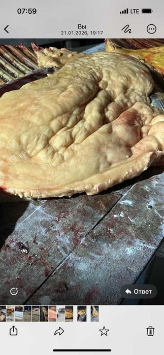 Свежее мясо конина