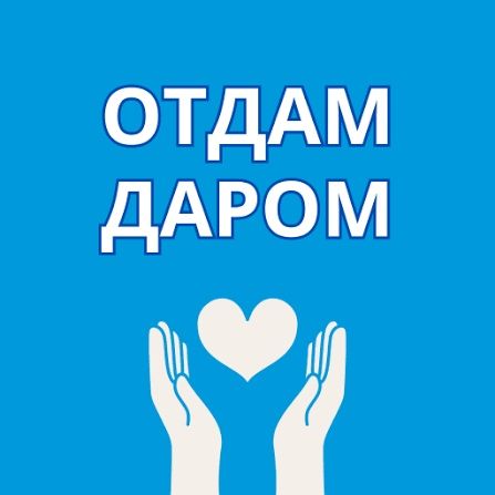 Женские вещи бесплатно