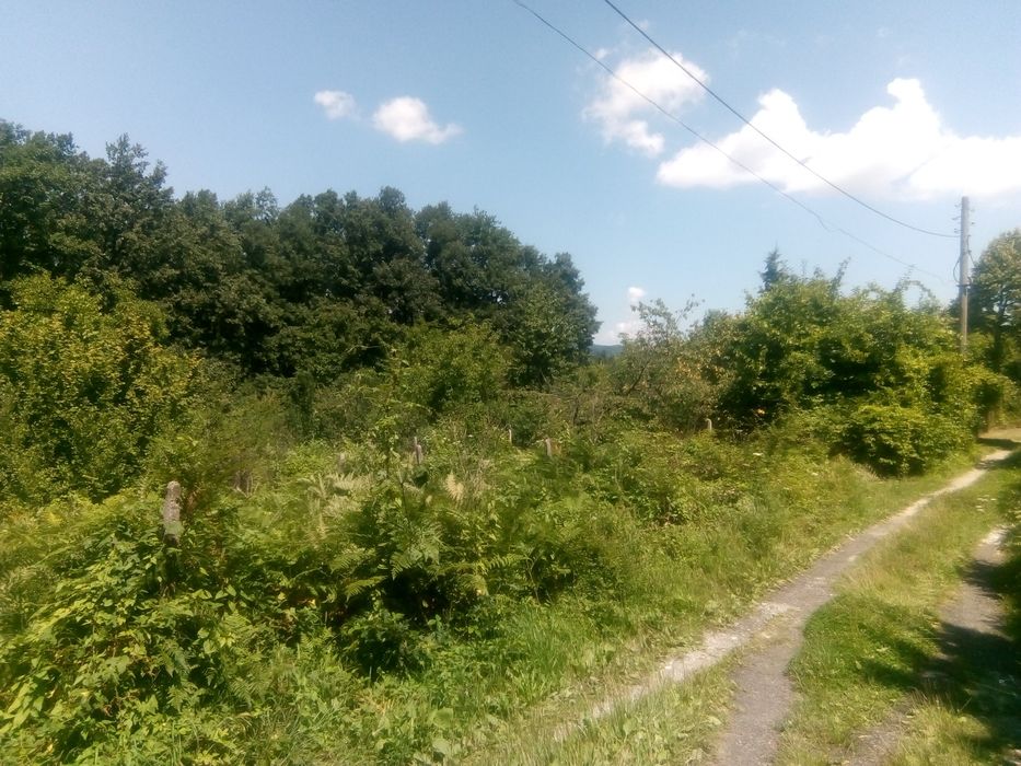 Продава се Земеделски имот в Габрово, Шенини -  кв.м за 17 €/дка - Снимка #1