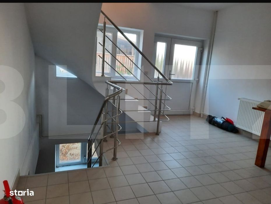 Casa+Spatiu Pentru Afacere/Locuit Iancu Jianu