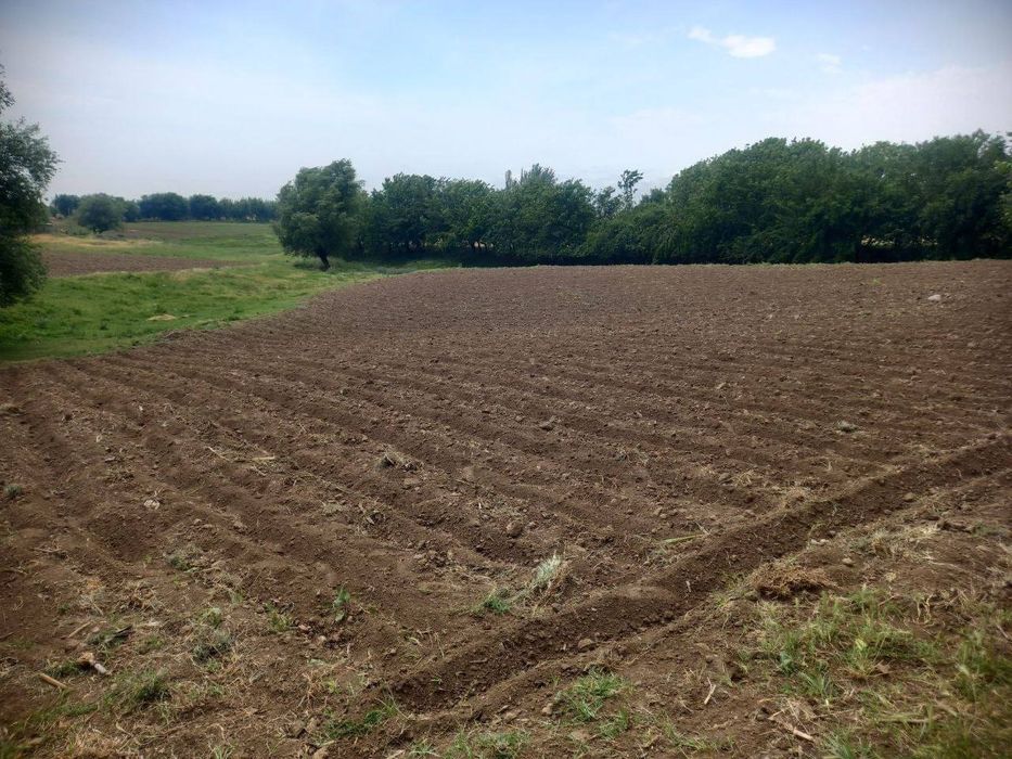 6 xonalik uy sotiladi