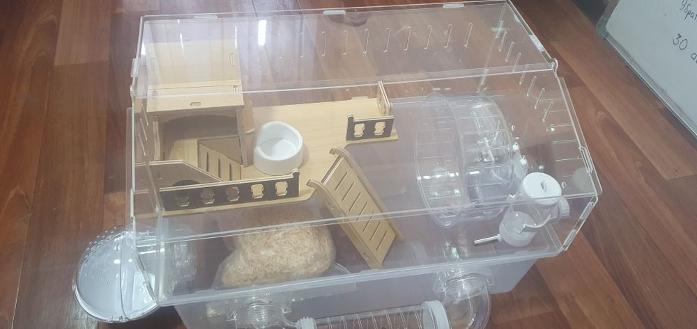 Клетка для Джунгариков