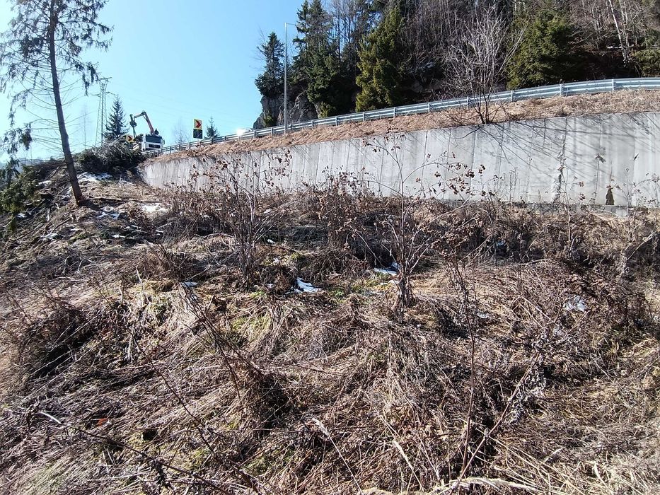 Teren  cu IESIRE LA LAC Colibita 10 -15 arii .