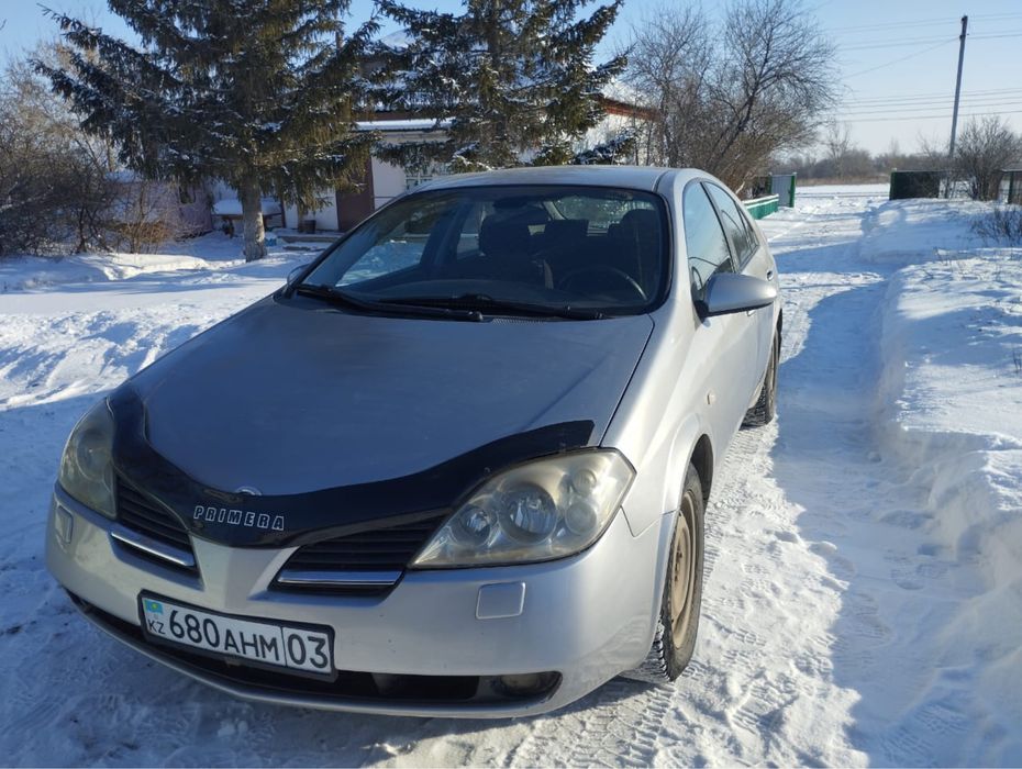 Продам ниссап премьера п12