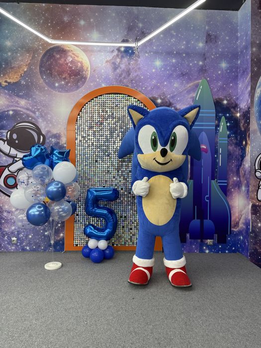 Ростовые куклы Костанай СОНИК