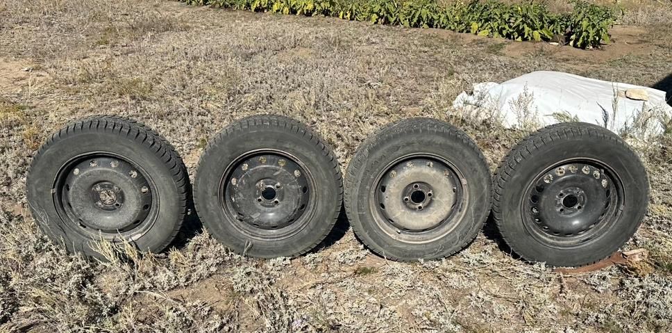 Зимние 195/65 R 15