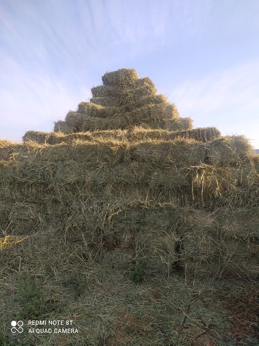 Продам пресс подборщик