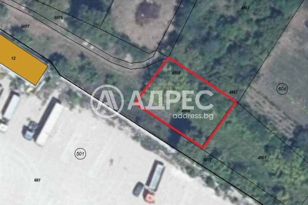 Вилно място - лозе