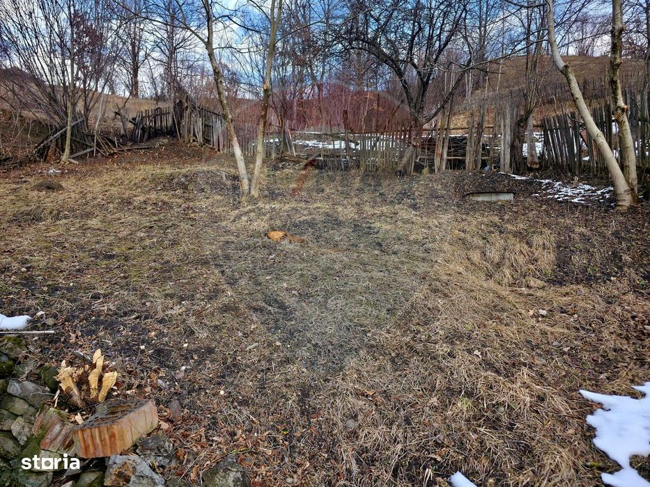 Teren 711mp Hangu / DN GROZAVESTI