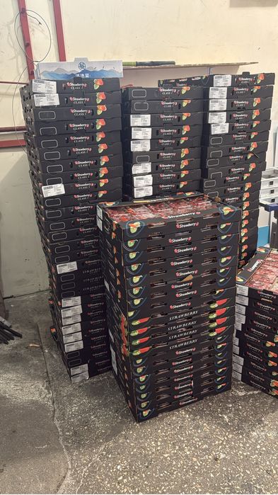 Клубника Египит