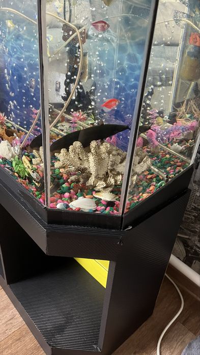 Продам рыбу сом