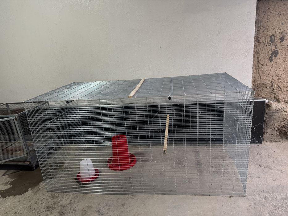 Tovuq va qush uchun qafas