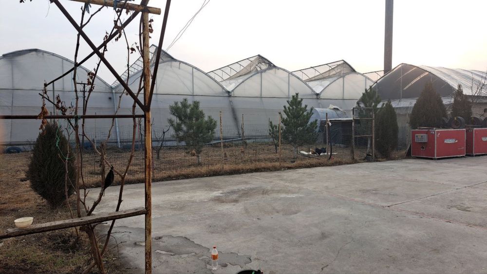 Теплица 2 Гектар ижарага берамиз ёки сотилади 5 йилда булиб тулаш