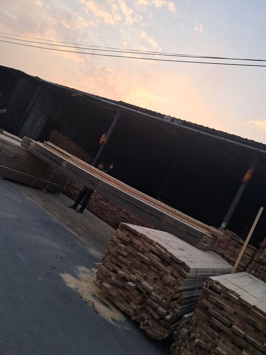 Дерево сосны продаю