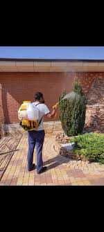 Archa dorilash kesish va kesish dorilash gazon ekish va o'rish