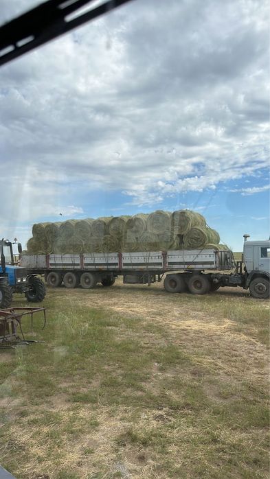 Продам сено рулон