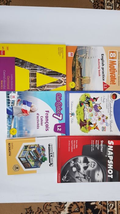 Carte Minecraft Culeger Evaluar Mate Roman Fizica Engle Germ Fran Chim