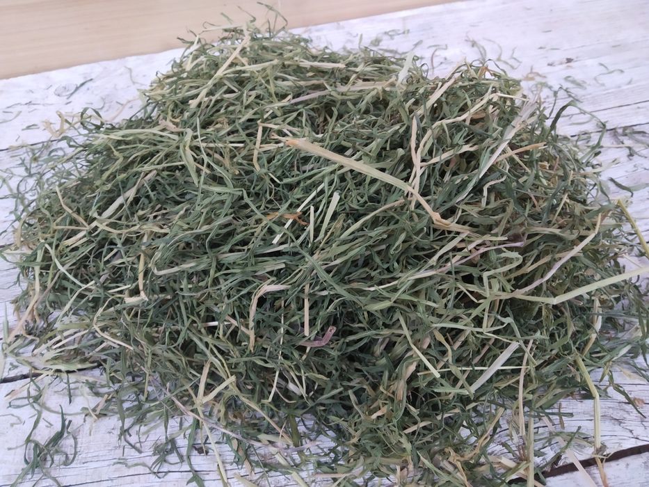 Сено для морских свинок, хомяков,шиншилл, крысок