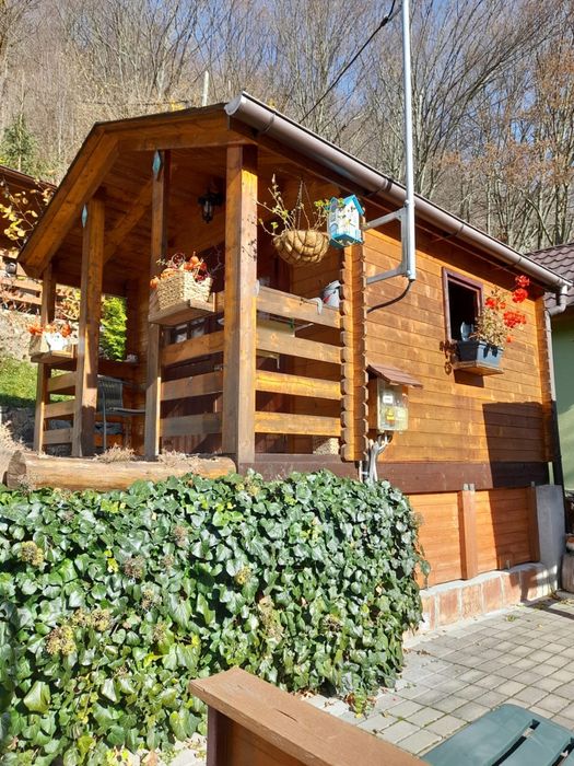 Cabana Coada lacului Tarnita