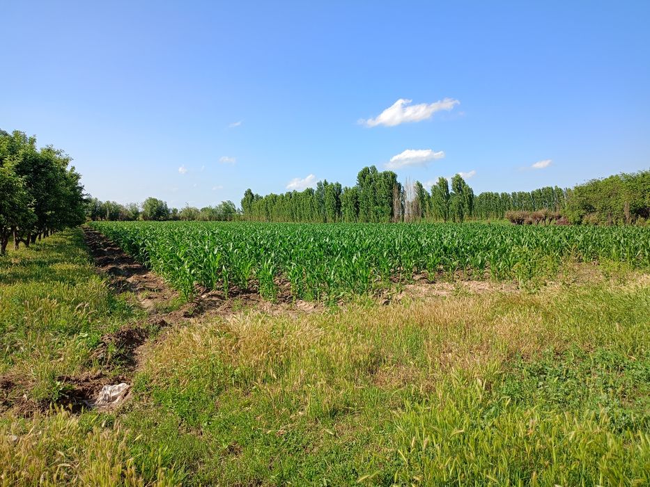 Уй сотилади! дом продаётся: 35 000 у.е. - Продажа Бука на Olx