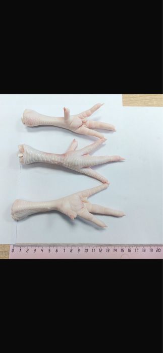 Куриные лапки куриные лапки