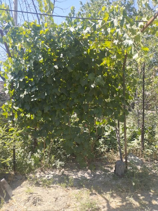 3-х комнатная квартира