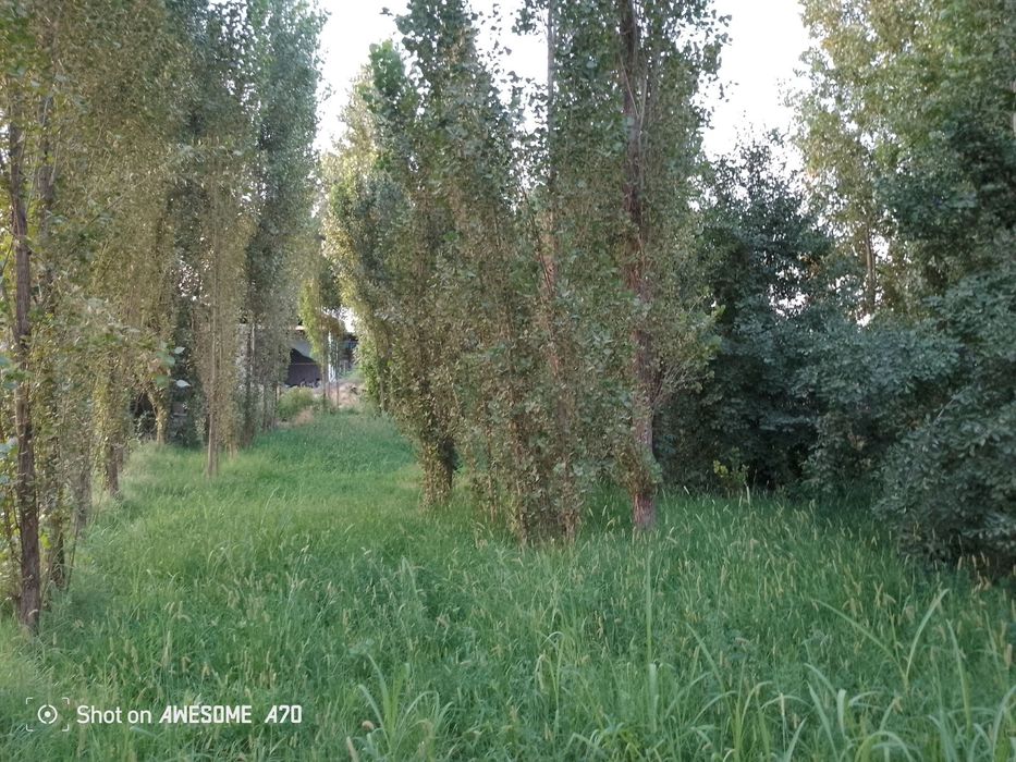 Quruq yer sotiladi 2 sotihdan boshlab 15 sotihgacha. Har sotih 10ming$