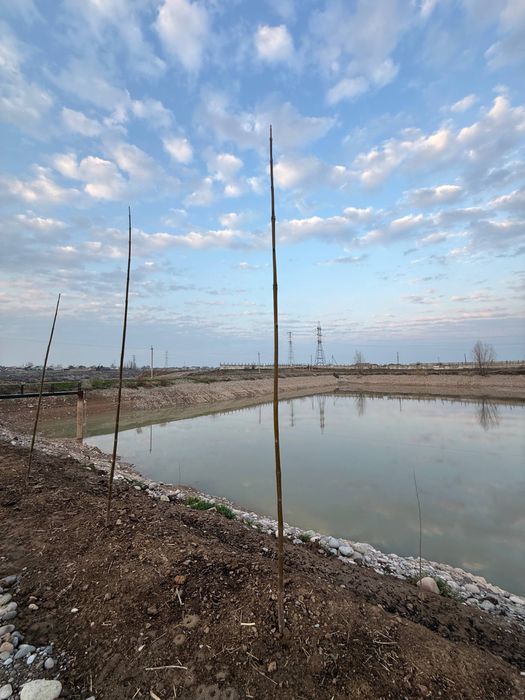 Сдается в аренду рыбхоз