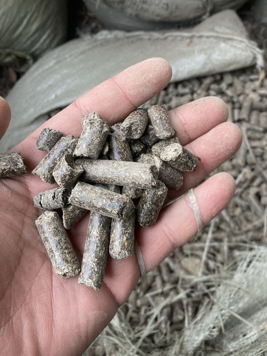 Шрот подсолнуха семечки