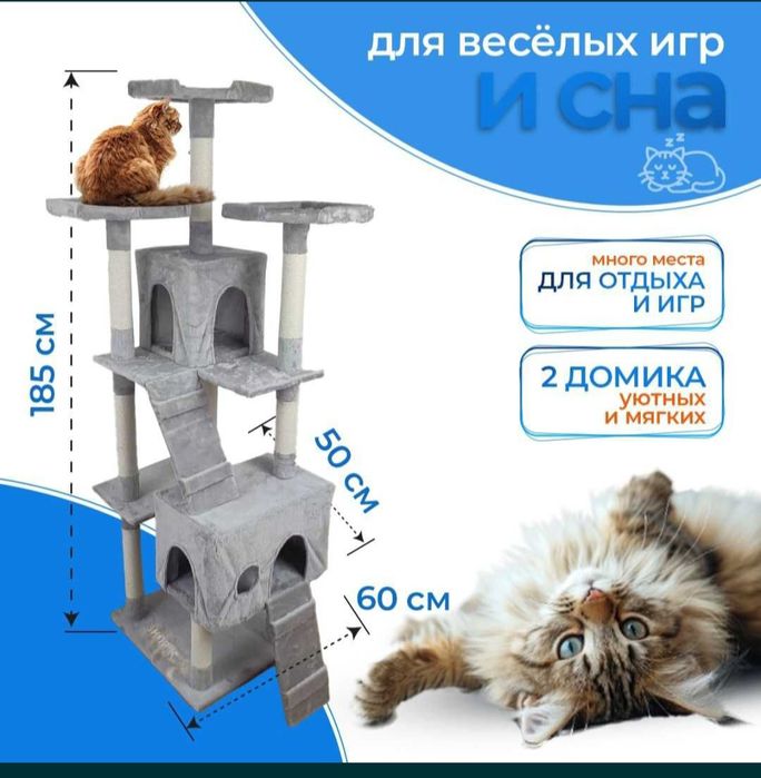 Когтеточка большая
