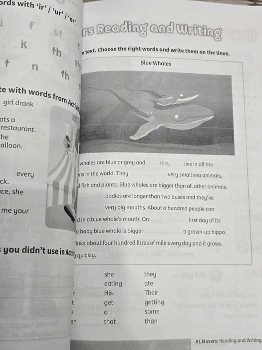 Manual + Auxiliar lb. Engleză: Kid's Box 4 New Generation