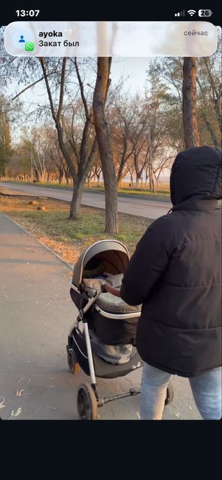 коляска tomix sunny 2 в 1