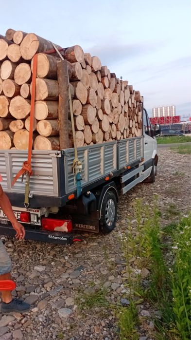 Lemne de foc esenta tare ( fag )