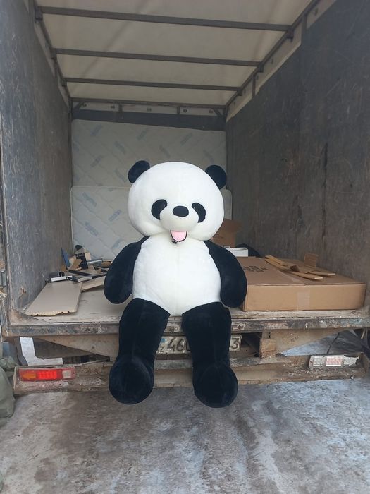 вызов мусора 24/7