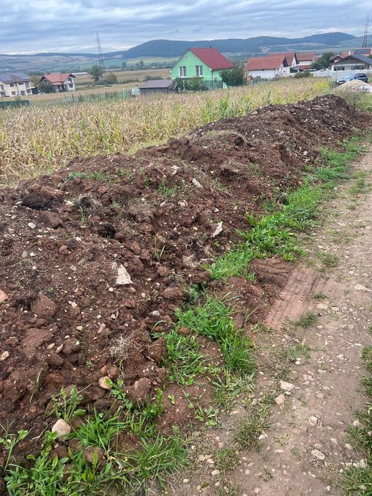 Pamant gratuit zona Micesti,Alba-Iulia,nu ofer incarcare si transport