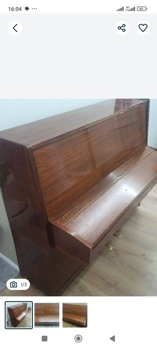 Пионина отдам, самовывоз, срочно, желательно сегодня