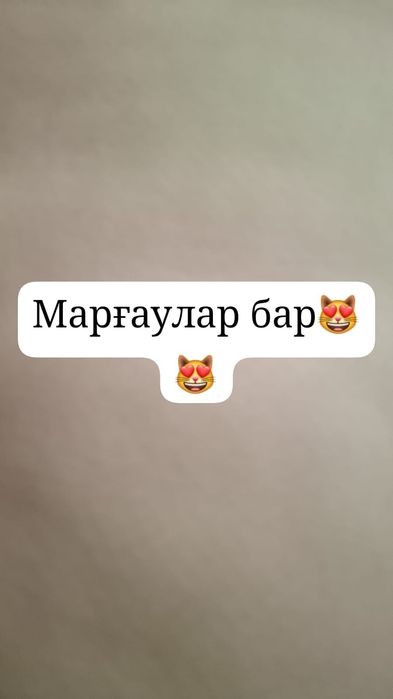 Марғаулар сатылады!