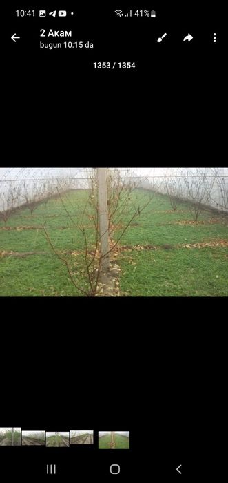 теплиса сотилади энига 12 метр узунлиги 38 метр 1сотиги 450000 минг