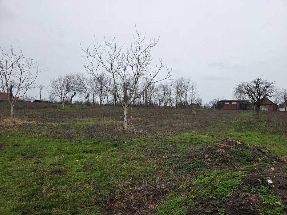 Casa cu teren spatios la tara