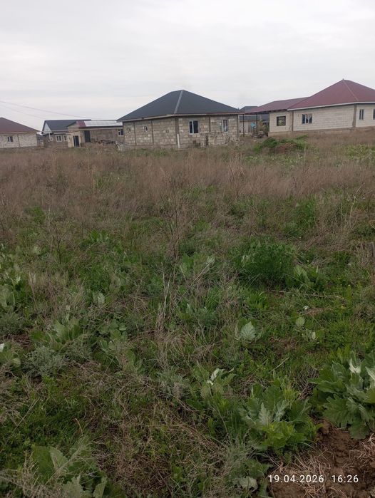 Жер сатамын 6 соттык