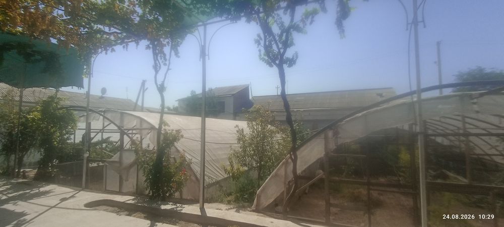 Теплица ситилади срочно
