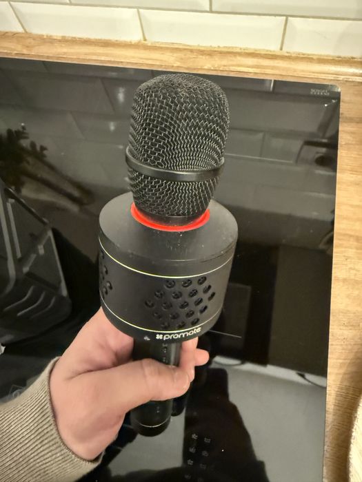 Microfon cu difuzor si mp3