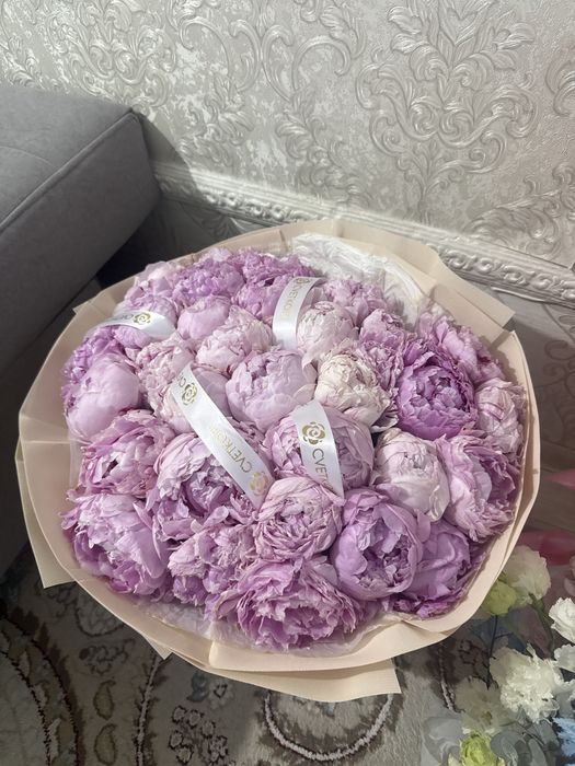 Цветы шымкент