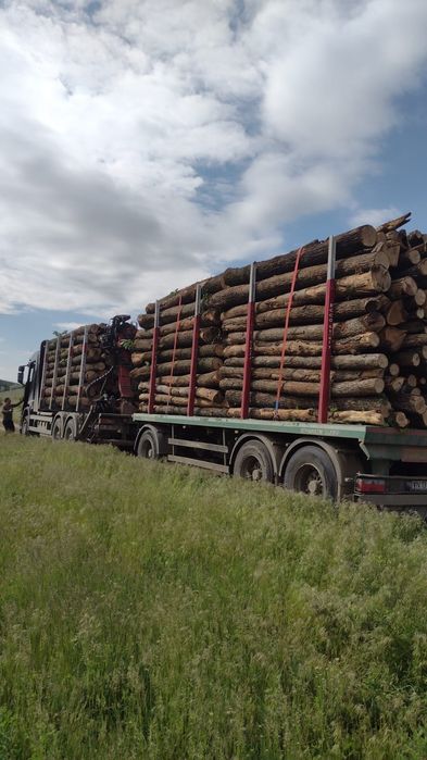 Lemn foc cantitati mari