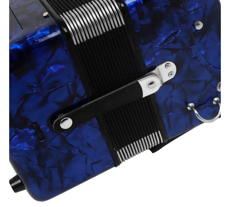 Баян, Weltmeister