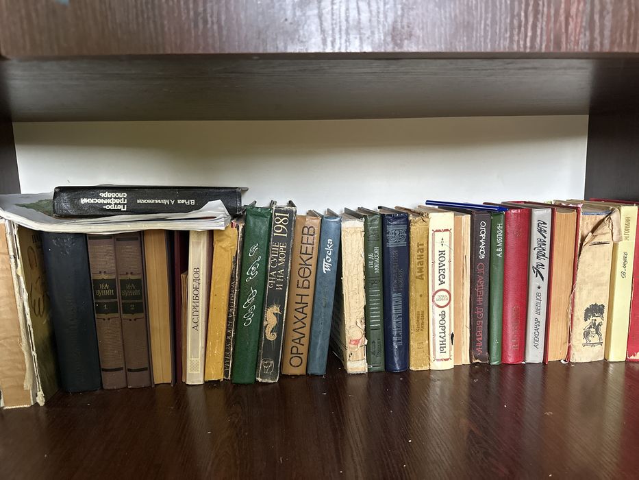 Книги бесплатно ақшұқыр